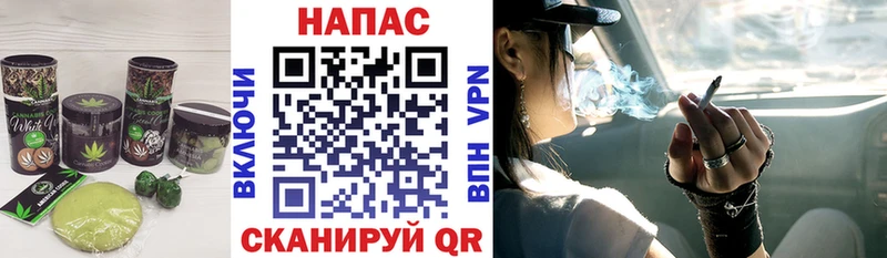 Купить закладки  Мосальск  Печенье с ТГК конопля 