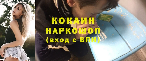 крисы Горняк