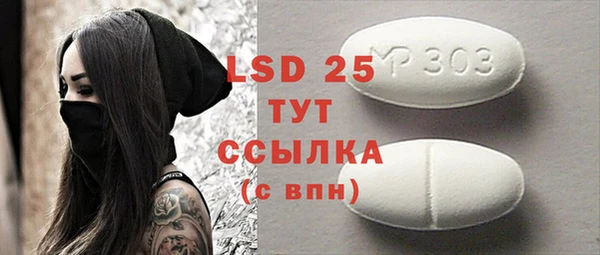 крисы Горняк