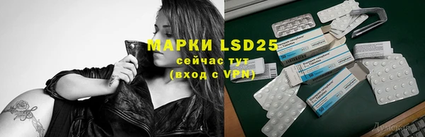 крисы Горняк