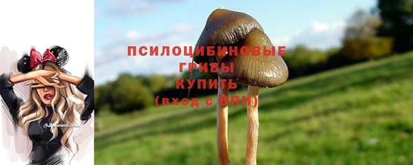 крисы Горняк