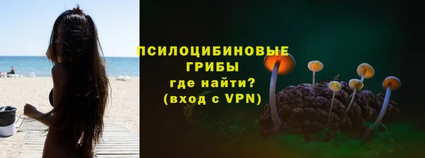 COCAINE Горно-Алтайск