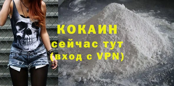 крисы Горняк
