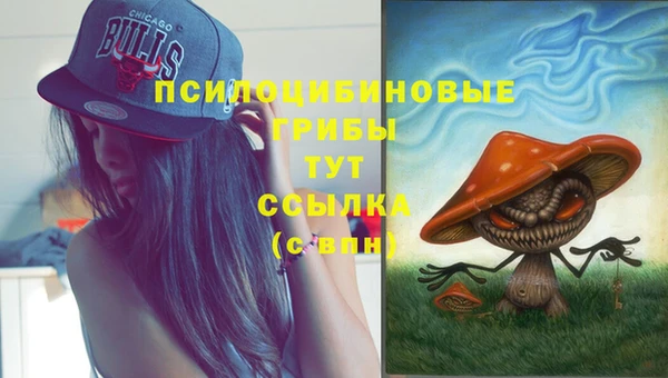 Альфа ПВП Тихвин