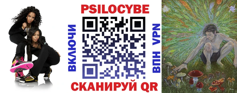Псилоцибиновые грибы Psilocybe  Купить где  Мосальск 