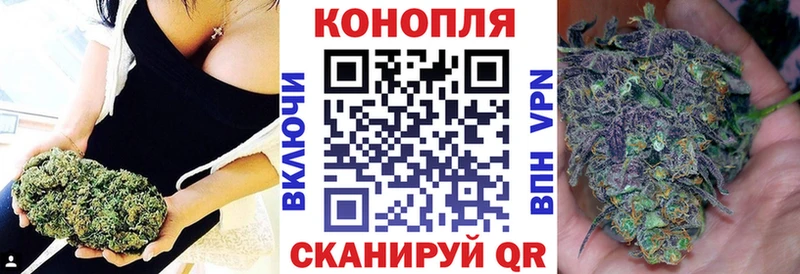 Купить закладки  Мосальск  Конопля OG Kush 